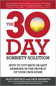 The 30-Day Sobriety Solution Book